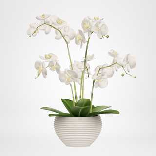 redecor-img