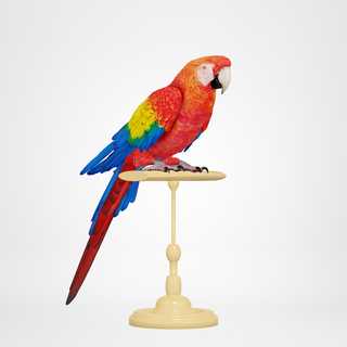 redecor-img