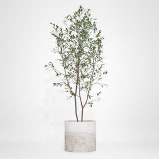 redecor-img