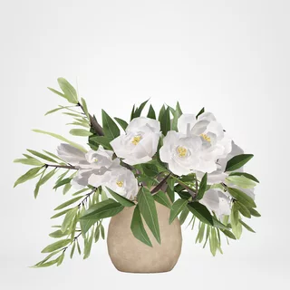 redecor-img