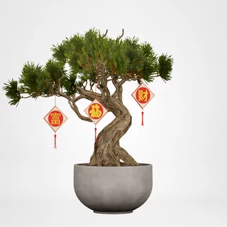 redecor-img