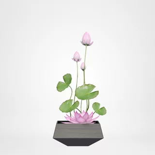 redecor-img