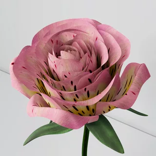 redecor-img