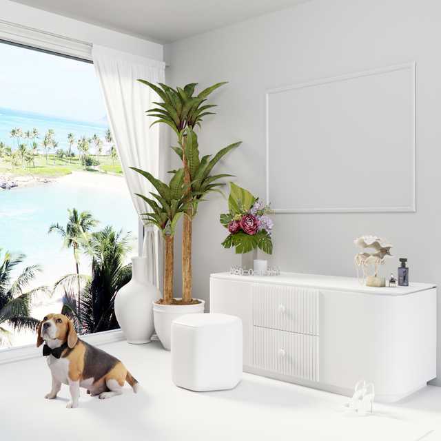 redecor-img