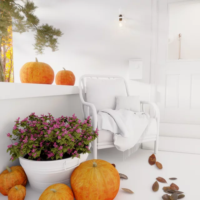 redecor-img
